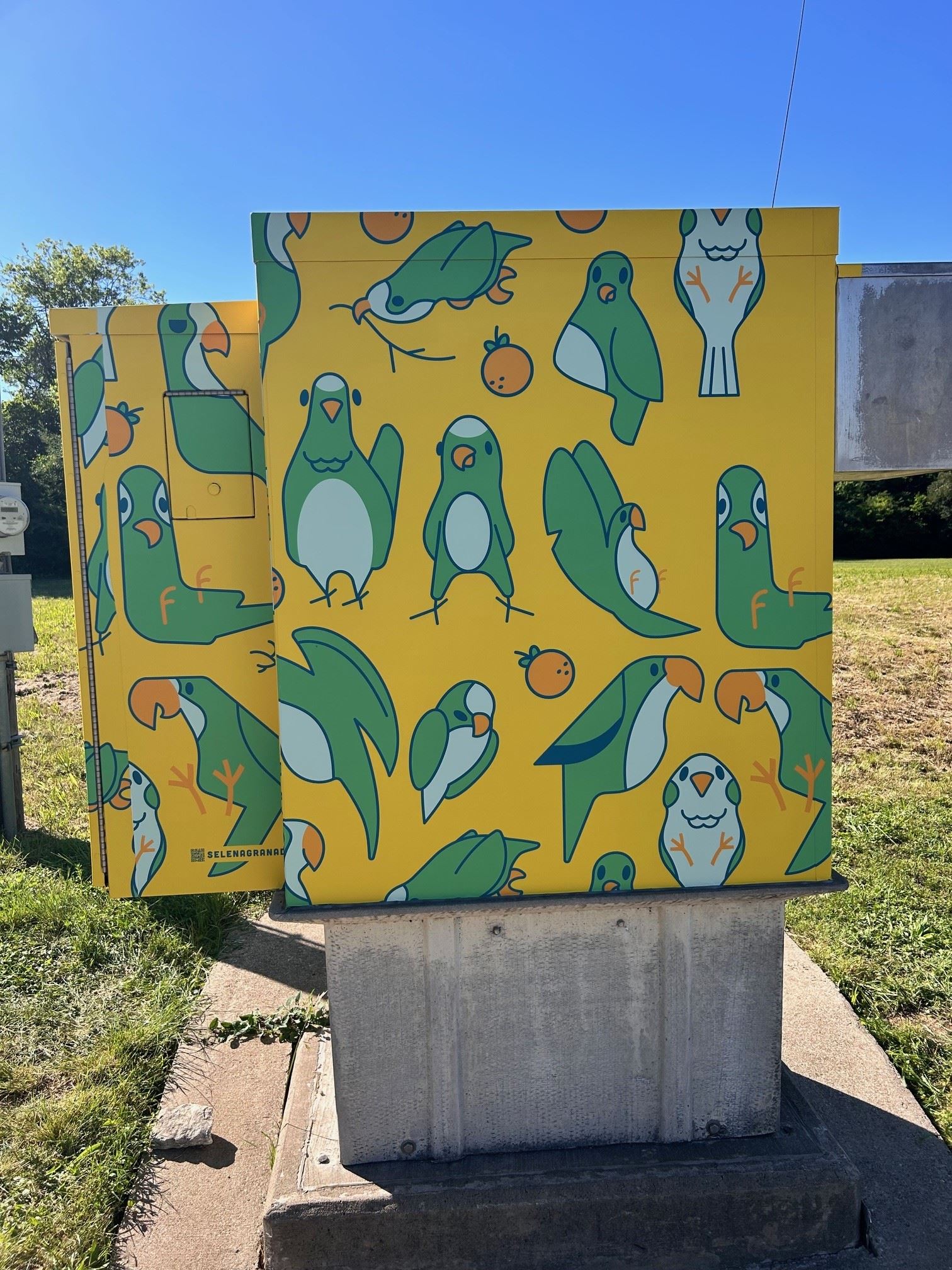 Joe Wilson x Pleasant Run