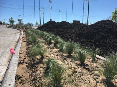 Mulch waiting to be installed in median (sm)