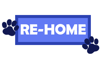 ReHome_Icon